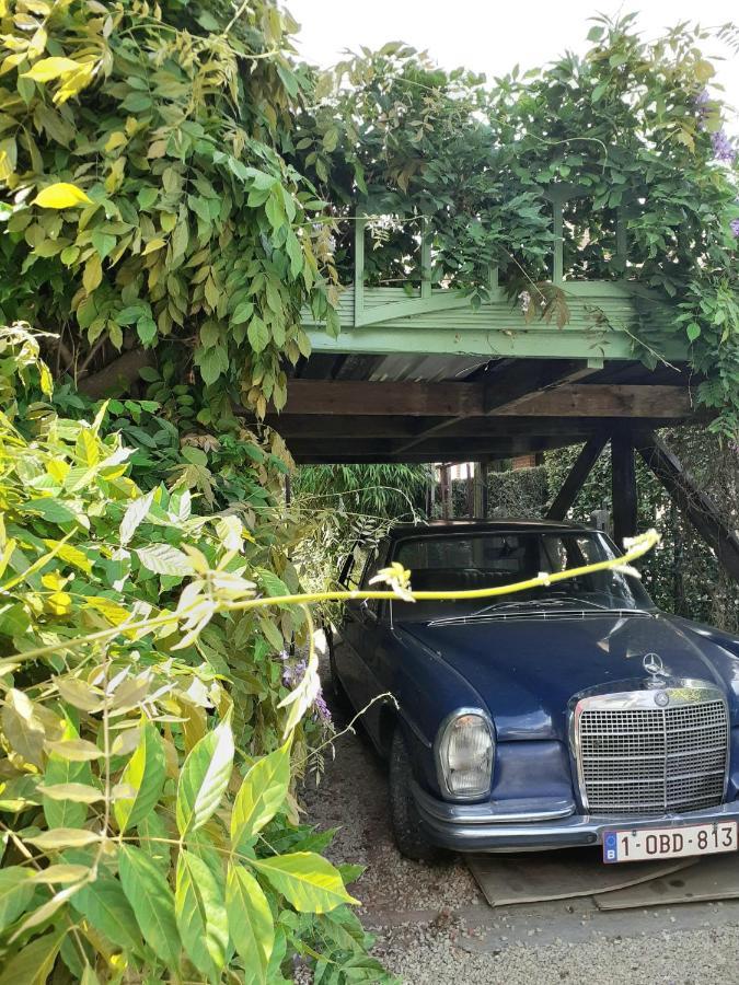 דנדרמונדה Villa Ritte מראה חיצוני תמונה